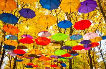 Φθινόπωρο και Χρώμα