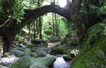 Τσαγκαράδα: Το σμαράγδι του Πηλίου