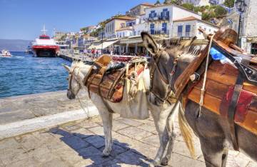 Ύδρα το μικρό νησί του Αργοσαρωνικού