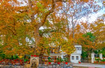 Πορταριά: Ο Παράδεισος της φύσης